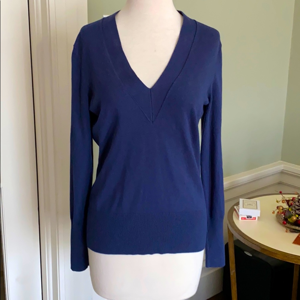 Banana Republic Navy Blue V-neck Sweater